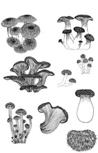 Load image into Gallery viewer, Funky Fungi Print
