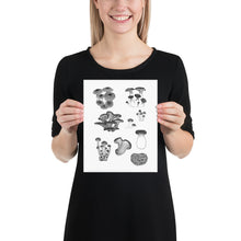 Load image into Gallery viewer, Funky Fungi Print (8&quot;x10&quot;)
