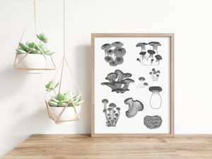 Funky Fungi Print (8"x10")