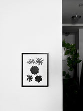 Load image into Gallery viewer, Succulent Print
