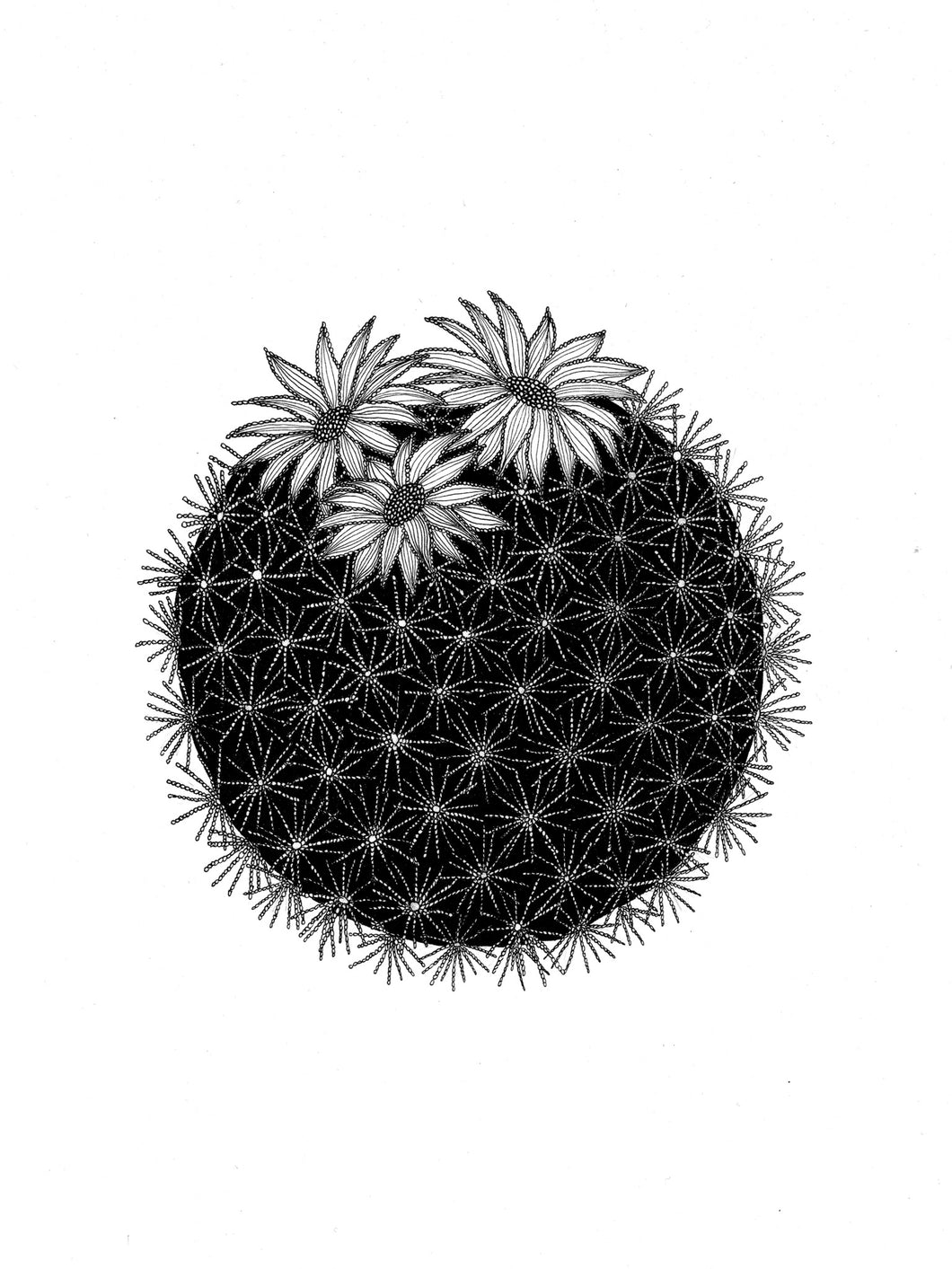 Cactus Flower Print