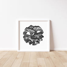 Load image into Gallery viewer, Oyster Mushrooms Print
